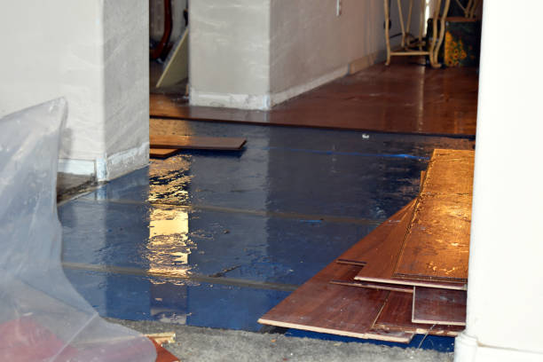 Professional Basement Water Removal technician working in Dover, AR